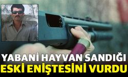 Yabani hayvan sandığı eski eniştesini vurdu