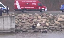 Sır gibi cinayet! Resmen tuzak kurmuşlar