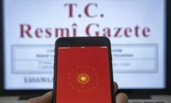 İthalat rejiminde yeni yıla ilişkin bazı düzenlemeler Resmi Gazete'de