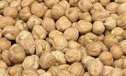 Gazianteplilerin gözdesi ‘Nohut’un bilinmeyen tehlikeleri!