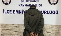 24 ayrı hırsızlık şüphelisi 190 saatlik kamera incelemesiyle yakalandı