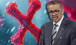 Ölümcül X Hastalığı: DSÖ Direktörü’nden Uyarı, Koronadan Daha Ölümcül!