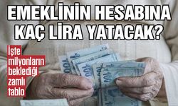 Emeklinin Hesabına Kaç Lira Yatacak?