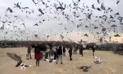 Gazze'de özgürlüğü alınan çocuklar için güvercinler özgürlüğe uçtu