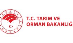 Tarım ve Orman Bakanlığı 7 bin 158 personel alımı yapacak: İşte başvuru tarihi ve şartları