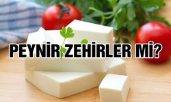 Peynir Zehirler Mi?