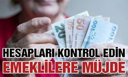 Emeklilere Müjde! Hesaplarınızı Kontrol Edin!