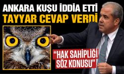 Ankara Kuşu İddia Etti, Tayyar Cevap Verdi!