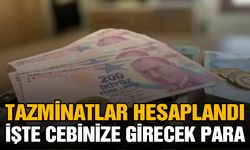 Tazminatlar Hesaplandı: İşte Cebinize Girecek Para...