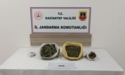 Nurdağı’nda 3 Kilo Skunk Ele Geçirildi: Skunk Nedir?