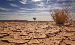 Zambiya'da kuraklık alarmı: Ulusal afet ilan edildi