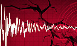 Yürekleri Ağza Getiren Deprem: Ardından da Panik Ve Endişe