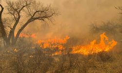 Meksika Alev Alev Yanıyor: 15 Eyalette Orman Yangını Çıktı