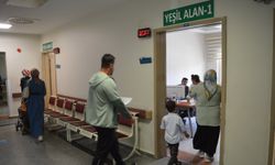 Türkiye'de Son 10 Yılda Sıtma Vakasına Rastlanmadı