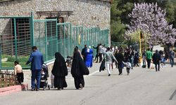 Gaziantep'te Hayvanat Bahçesi Bayram Tatilinde Ziyaretçi Rekoru Kırdı