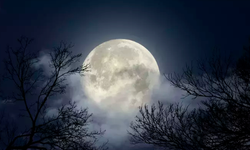 Nisan 2024 Dolunayı: Akrep Burcunda Gizemli Ayın Parıltısı
