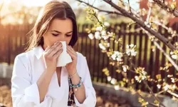 Bağışıklığı Düşüren Polen Alerjisine Dikkat