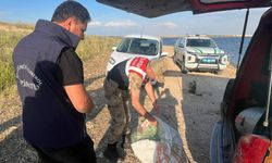 Gaziantep’te Balık Avı Yapanlara Jandarmadan Baskın