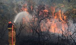 AB Orman Yangınlarının Önüne Geçmeye Hazırlanıyor