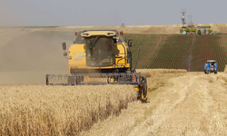Bakan duyurdu: Çiftçilerin hesabına 1,2 milyar TL’lik destekleme yatıyor