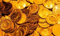 2024 yılında altını solladı! Yatırımcıların yeni gözdesi