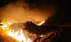 Bir anız yangını daha: 7 köy etkilendi