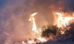 Mardin’deki orman yangını söndürüldü