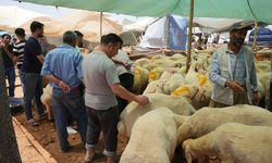Gaziantep'te kurban pazarı mahşer yeri: İşte Arafe günü kurbanlık fiyatları