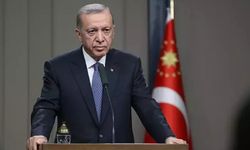 Erdoğan'dan sokak köpekleri için talimat geldi