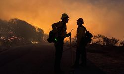 Orman yangını dumanından 10 yılda en az 52 bin kişi erken yaşta öldü