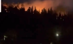 Gaziantep'te Yangın Paniği: Orman Alevlere Teslim