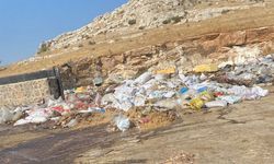 Gaziantep’te bu görüntü herkesin midesini bulandırdı