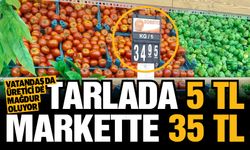 Gaziantep’te domates tarlada 5 TL, markette 35 TL