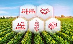 Kooperatiflere hibe desteği geliyor