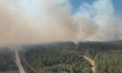 Orman yangınıyla ilgili Cumhuriyet Başsavcılığı soruşturma başlattı