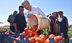 Şahinbey'de enflasyona neşter vuruluyor!