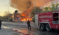 Gaziantep'te halı fabrikasında yangın