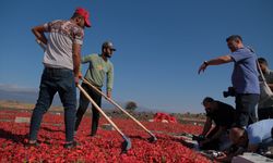 Gaziantep'te fotoğraf severler İslahiye’de "acıyı" kaydetti