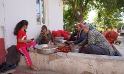 Gaziantep'te kırsaldaki çiftçi kadınlar ev ekonomisini kalkındırıyor