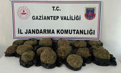 Gaziantep'te Otobüsün Bağajından 18.5 Kilo Skunk Ele Geçirildi