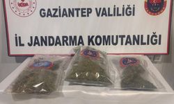 Gaziantep'te 1 Kilo Esrar Ele Geçirildi