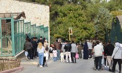 Gaziantep Doğal Yaşam Parkı'na ara tatilde ziyaretçi akını