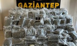 Gaziantep’te 104 Kilo Skunk Ele Geçirildi