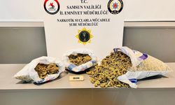 5 kilo 700 gram skunk ele geçirildi: 4 gözaltı