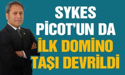 Milletvekili Şahin: “Sykes Picot’un da ilk domino taşı devrildi”