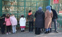 Gaziantep Hayvanat Bahçesi Yılın İlk Günü Ziyaretçileri Ağırladı