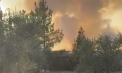 Gaziantep'te bağ evinde korkutan yangın