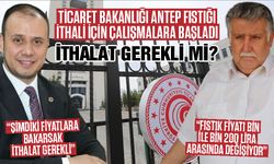 Bakanlık Antep fıstığı ithalatı için çalışmalara başladı! Gaziantep'te üretici, satıcı ve tatlıcılar nasıl etkilenecek?