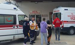 Gaziantep'te hafif ticari aracın devrilmesi sonucu 2 kişi yaralandı