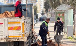 Nizip Belediyesi güneşin ilk ışıklarıyla mesaiye başlıyor